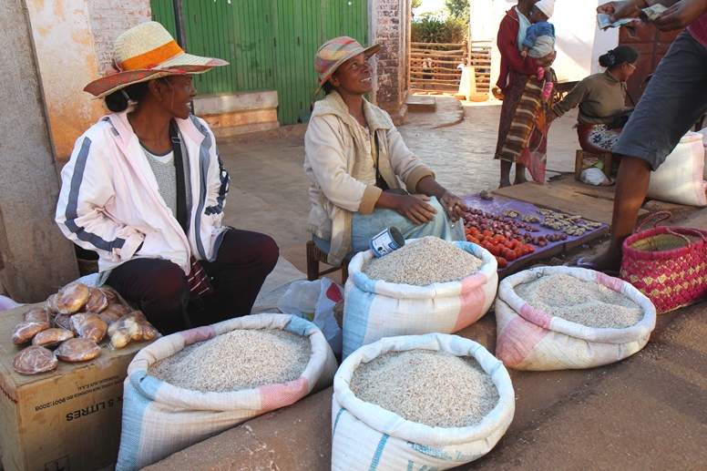 rice vendor